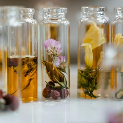 Remediile Florale Bach echilibru emotional